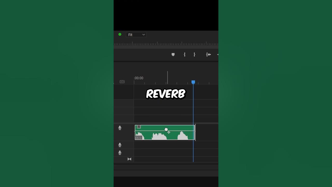 How To Create a Echo Voice Effect in Premiere Pro