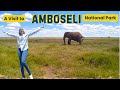 A VISIT TO AMBOSELI NATIONAL PARK VLOG Elephants Giraffes Mt Kilimanjaro Views Much More A VISIT TO AMBOSELI NATIONAL PARK VLOG Elephants Giraffes Mt Kilimanjaro Views Much More