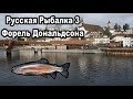 Русская рыбалка 3.99. Форель Дональдсона. Квест "Королевская коллекция"