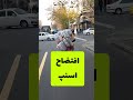 درآمد افتضاح اسنپ 2 دی 1404 