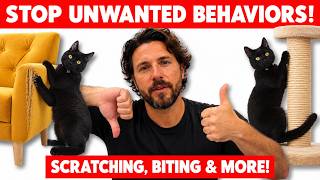 How to Get Your Cats to Stop... Everything You Hate: Every No Needs a Yes!