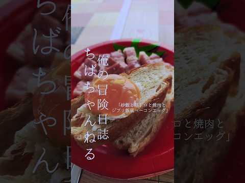 ある日のNV350車中泊キャンプ「炒飯と豚トロと焼肉とジブリ飯風ベーコンエッグ」＃ジブリ飯＃キャンプ飯#shorts