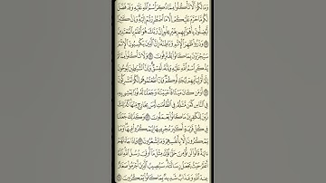تلاوة سورة الأنعام من الآية 119 إلى الآية 124
