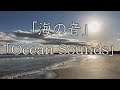 【自律神経を整える音楽】海の音(睡眠・リラックス）Ocean Sounds