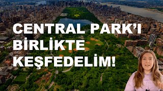 New York - Central Park In Peyzaj Tasarımını İnceleyelim Central Parkı Birlikte Gezelim