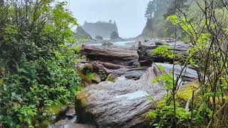 Ruby Beach - Time Lapse Hike