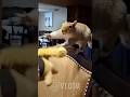 Squirrel SNAPS After Human Takes His Toy 🐿️😭