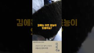 김의 효능