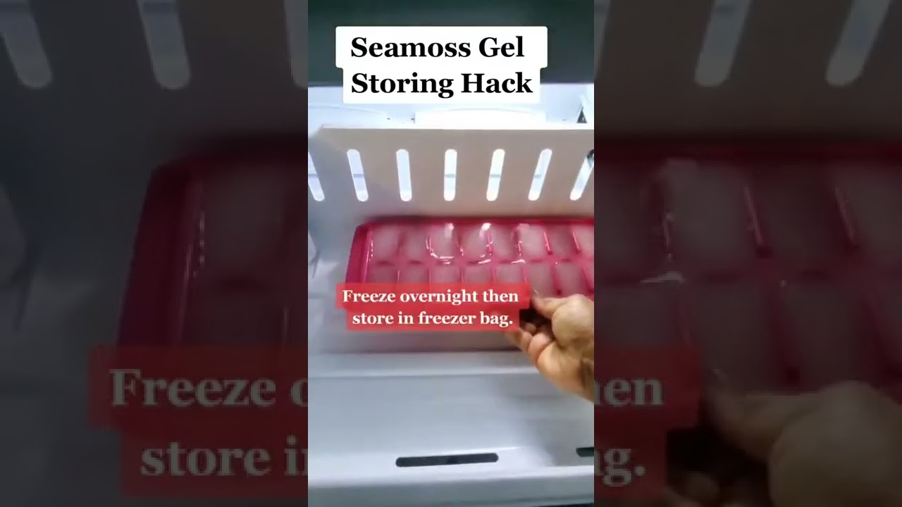 Seamoss Gel Storing Hack 