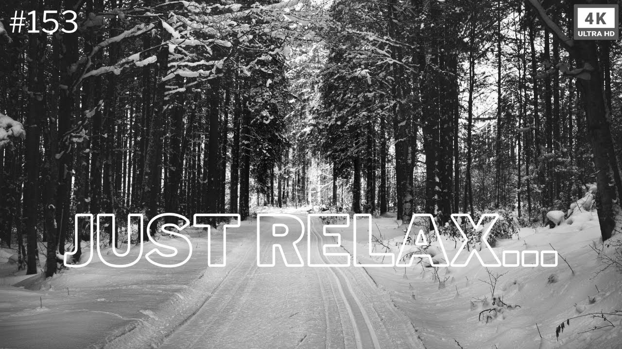 Zen-Oase🌱2025: Entspannungsmusik & Atemberaubende Naturansichten 