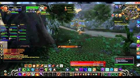 Rhonim Hacking On Molten-WoW (Ragnaros)