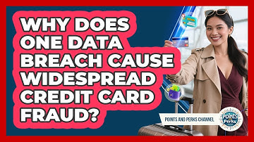 Why Does One Data Breach Cause Widespread Credit Card Fraud? - Points and Perks Channel