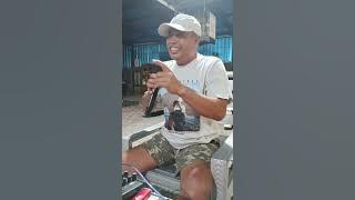 Ray Peni - Salak Bali | Cover Rekap @DemenKaraokeNyak