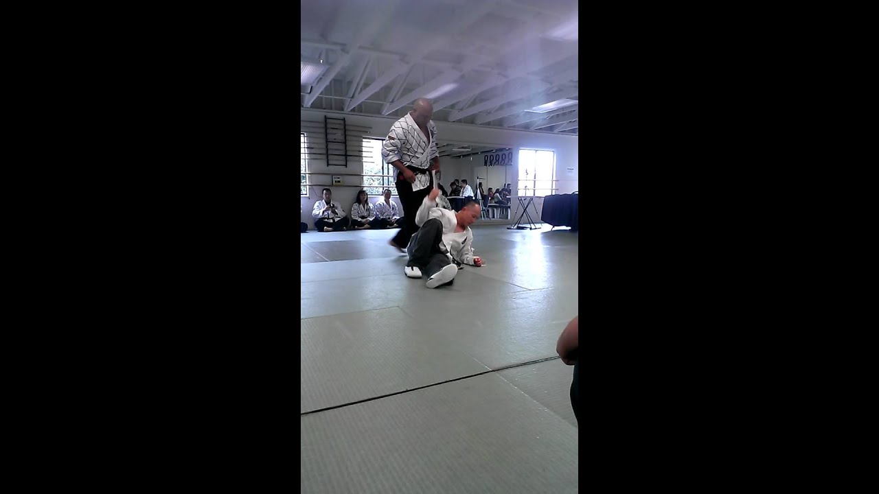 Hapkido throw