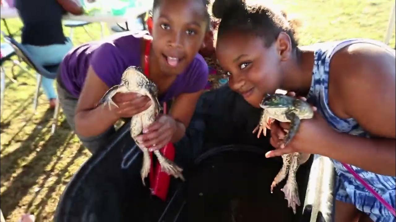 Rayne Frog Festival YouTube