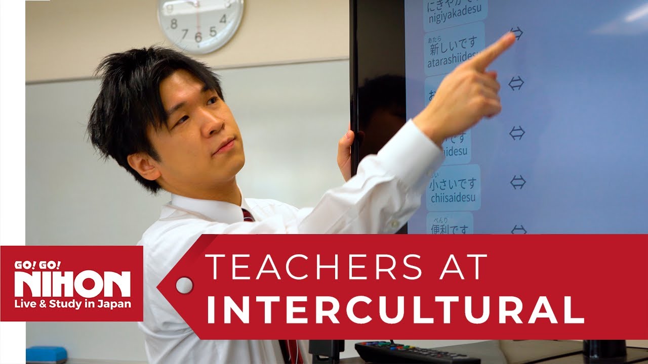 Meet the teachers of Intercultural Institute