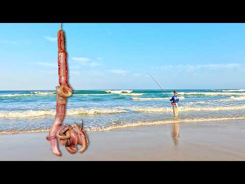 Everything LOVES worms! Trying the ULTIMATE surf casting bait! (Catch & Cook)