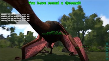 EliteArk.com Kit and Point system Tutorial