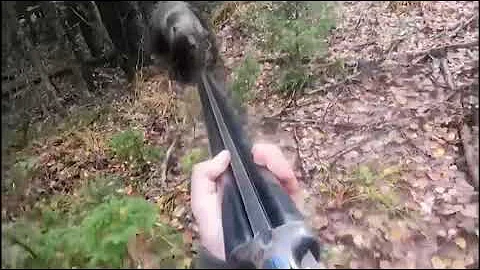 Bear attacks russian hunter