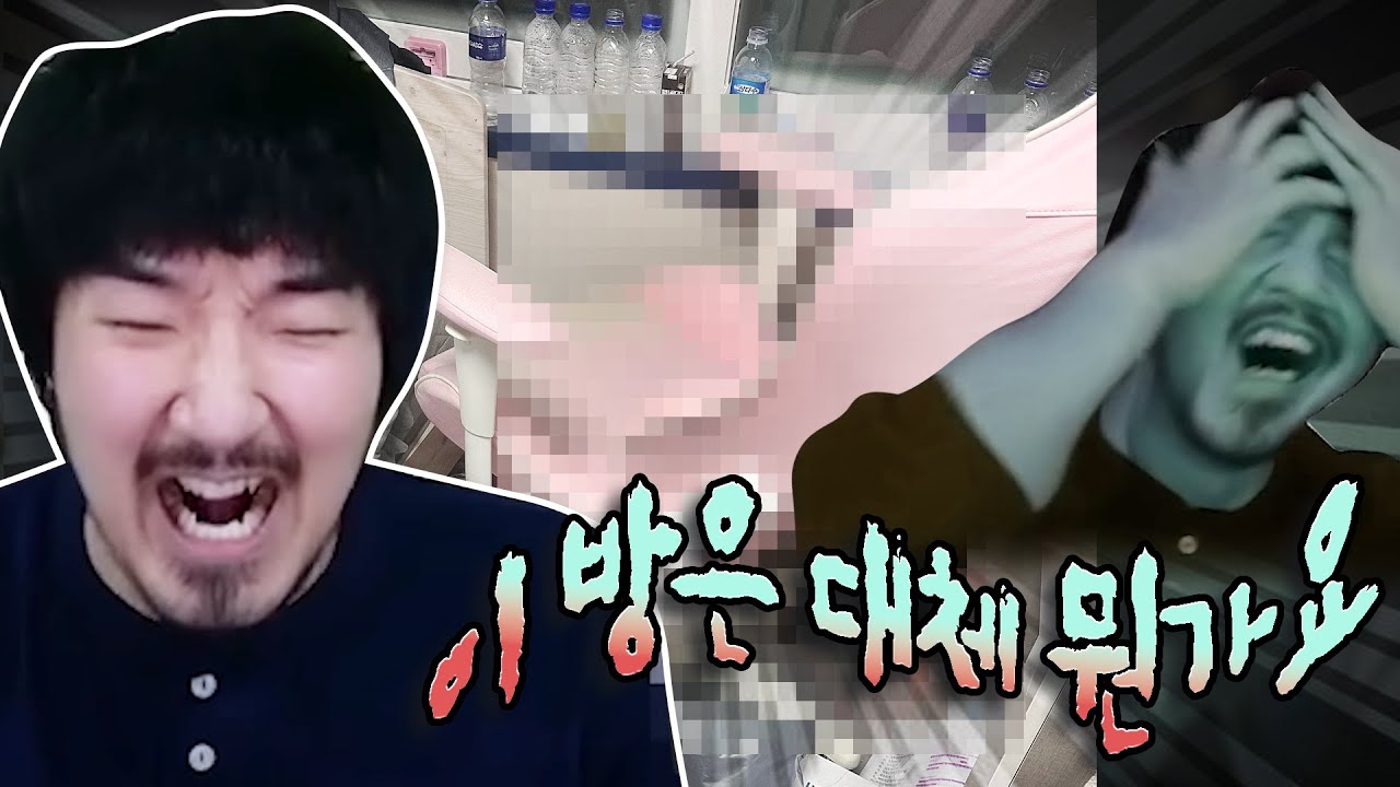 오랜만에 순돌이들의 방을 구경했습니다, 그런데…