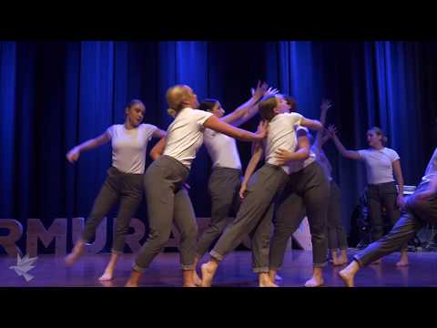 Rogue Co. + William Johnston - Murmuration 2018