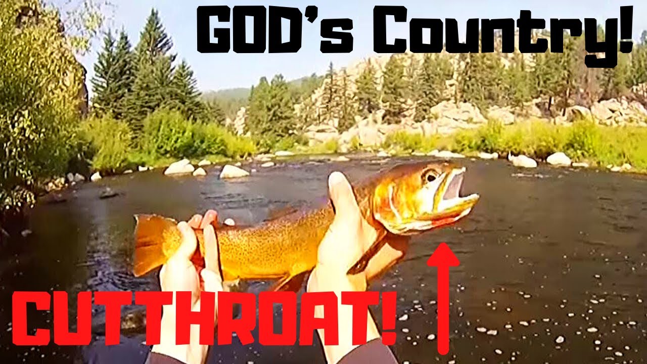Fly Fishing Colorado The Platte River August 2015 YouTube