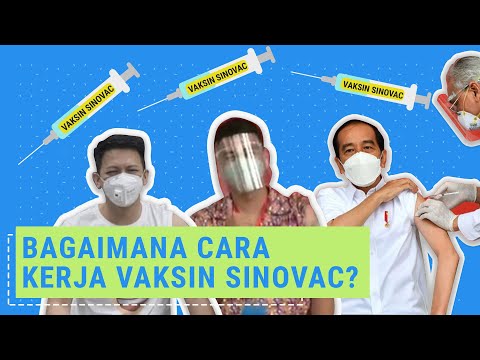 Video: Bagaimana adjuvant dalam vaksin bekerja?