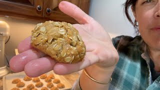 Easy Snacks From Scratch - Healthy homemade snacks for road trips, ball games and packed lunches.