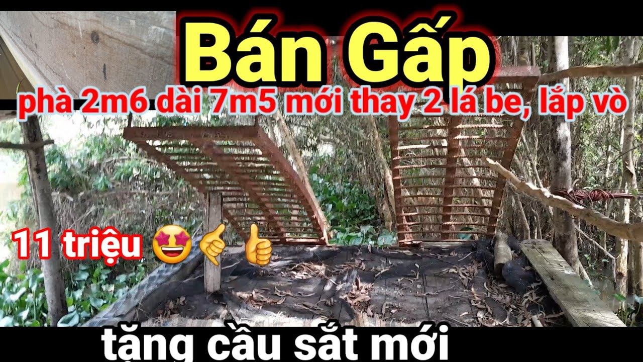 Bán Gấp phà lớn giá 11 triệu rất đẹp tại Thủ Thừa Long An L.h. (đã bán)