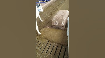 DeLaval RS450 manure robot