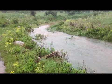 مياه الأمطار تضيع هدرا بجبل بني سيدال ضواحي الناظور 1