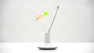 petlinks pure commotion