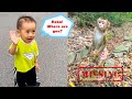 Monkey kaka went missing in the mountains making diem worried