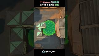 T1 Meteor의 바이퍼 바인드 A 트리플 각독