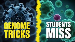USMLE Step 1 Subtopic: Viral genetics