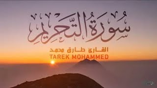 Best Recitation Qari Tarik Muhammad Surah Al Tahreem  بعيداً سورة التحريم كاملة للقارئ طارق محمد screenshot 4