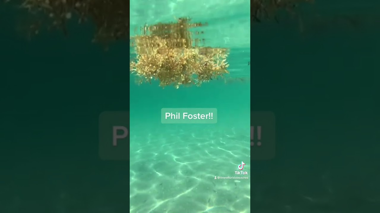 Phil Foster Park in Riviera Beach during high tide is heavenly!!