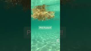 Phil Foster Park in Riviera Beach during high tide is heavenly!!