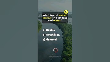 Animals Trivia Quiz Game. #quiz #quiztime