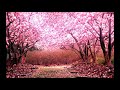 EDM春のR&B祭り 定番Hip Hop RnB Songs 2018 Hit Songs