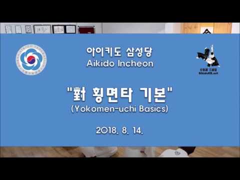 [Aikido Incheon, Samsungdang]180814 Yokomen-uchi Basics