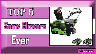 ✅ 5 Best Snow Blowers of 2023 [Don&#39;t Buy Until You WATCH This]