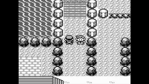Pokemon Red Walkthrough Part 10: Nugget Bridge