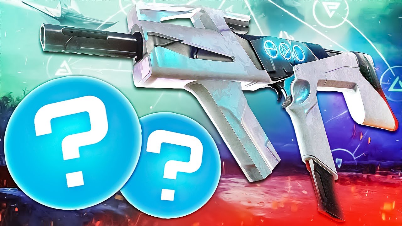 The Ultimate SMG: NEW Adjudicator Guide to GOD ROLL!