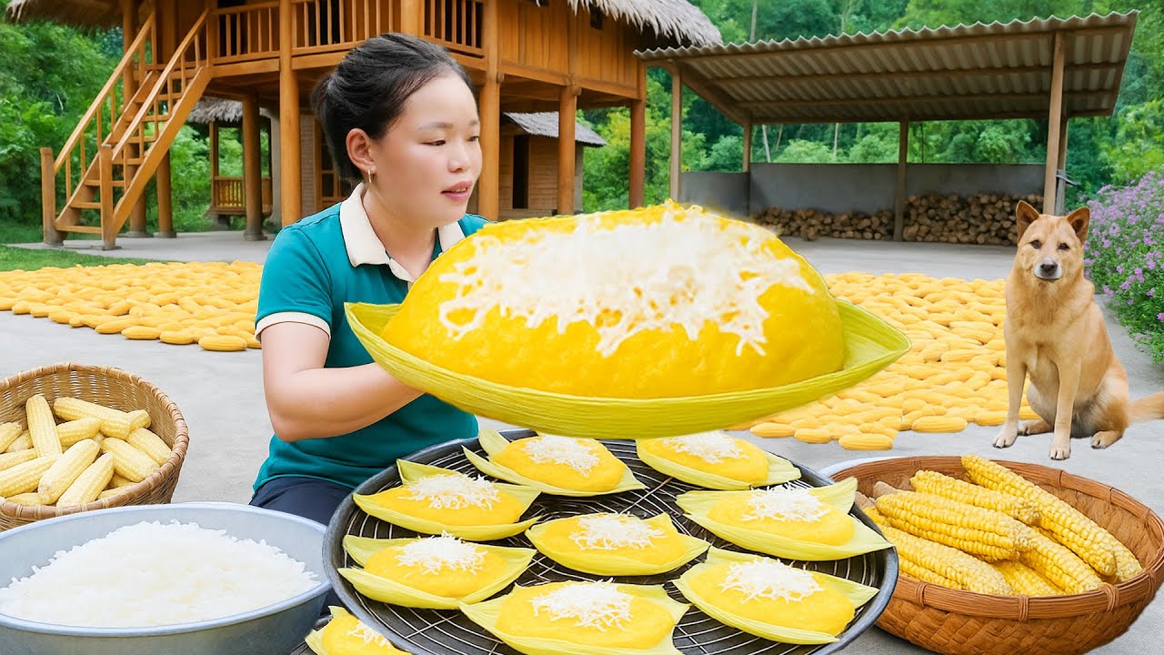 How to make coconut cheese corn cake, harvest giant mangoes to sell at the market, take care of pets