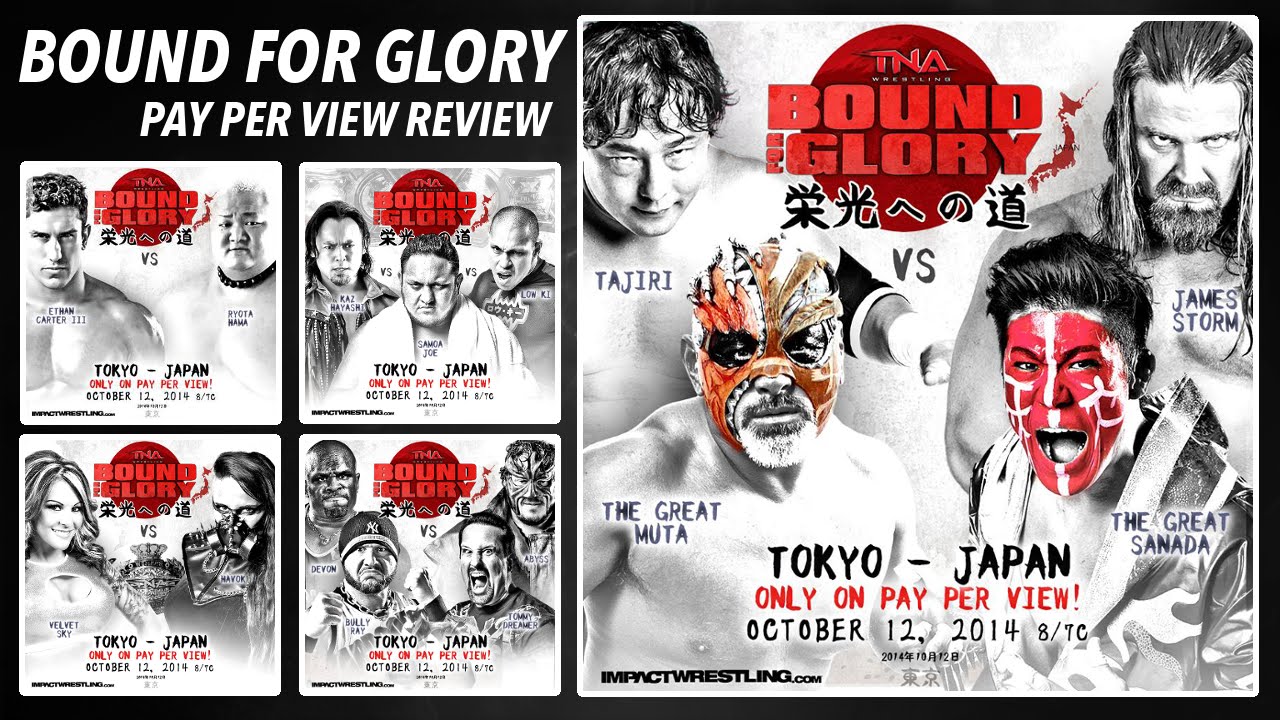 TNA Bound for Glory 2014 Review - Team 3D call out the Bullet Club