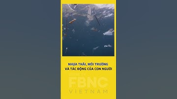 Nhựa thải, môi trường và tác động của con người