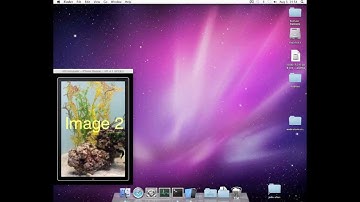 Automated Testing on the Xcode iOS Simulator