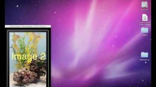 Automated Testing on the Xcode iOS Simulator