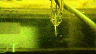 Plasma electrolysis (anodic effect).